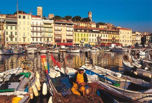 photo of the old port and suquet cannes